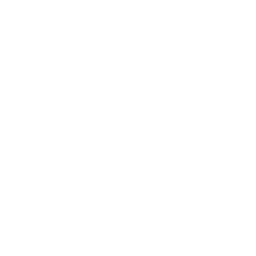 Custom Rigging