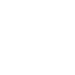Engine & Drive Repair
