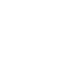 Mercury Repowers