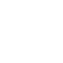 Seamless Transaction Proces