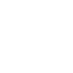 Warranty & Insurance Repairs